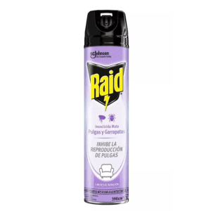Raid Violeta